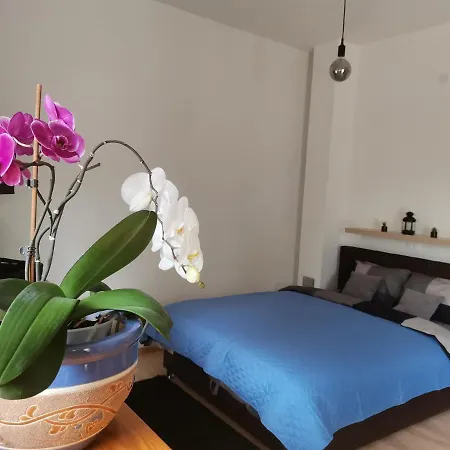 Sandra Apartment Lovran